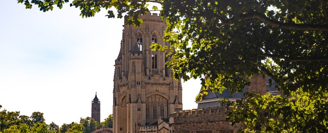 a stone building with a tree partially covering it